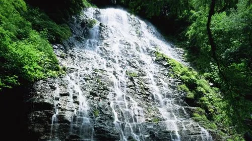 先进高性能高标准